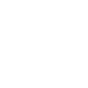 Society Protocol Logo